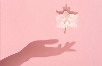 ���j�C���[�W